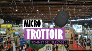 [Sommet de l&rsquo;élevage] Les leviers que les agriculteurs comptent activer l’an prochain contre la sécheresse