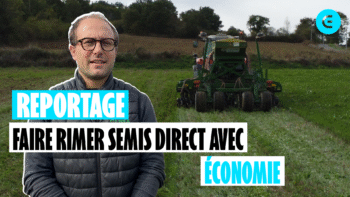 Julien : « SD, un moyen de semer à moindre coût »