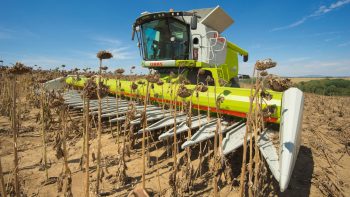 Barre de coupe à tournesol: maîtriser l’égrenage par le réglage