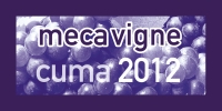 logo_mecavigne