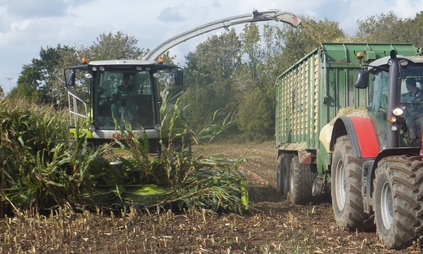 22 claas930 cuma du gouet