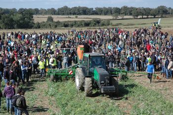 mecasol vienne demonstration